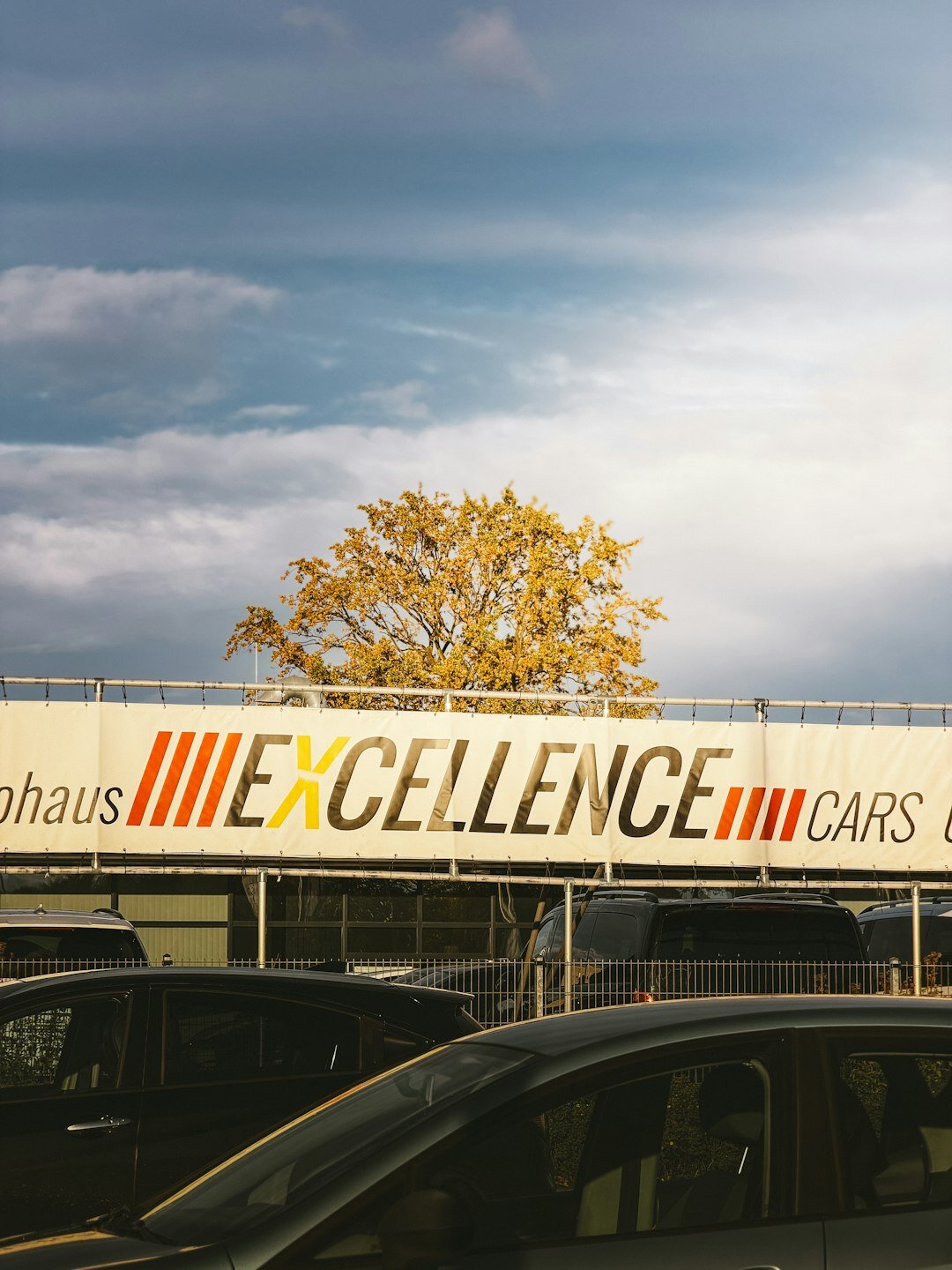 used cars for sale